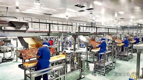 梅里斯百亿级休闲食品产业乘风启航