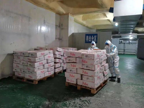 德阳进口冷链食品集中监管仓 立仓网络的精准防疫智慧