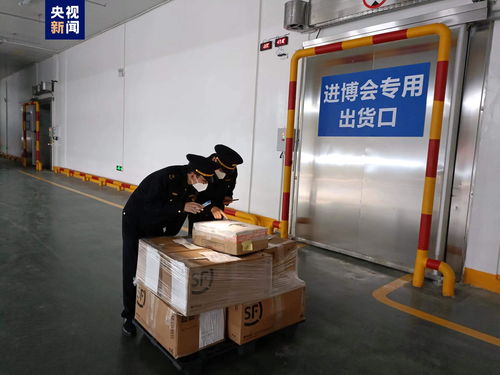全面体检为首批进口冷链展品保驾护航，第五届进博会交通网络立仓贯通
